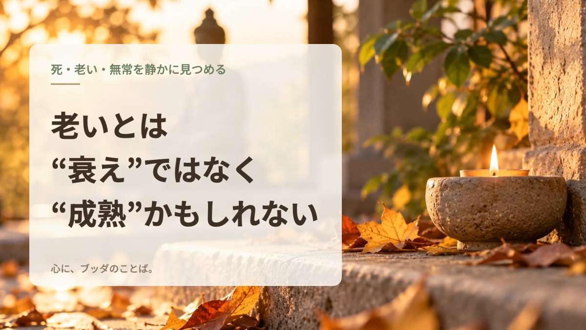 老いとは“衰え”ではなく“成熟”かもしれない