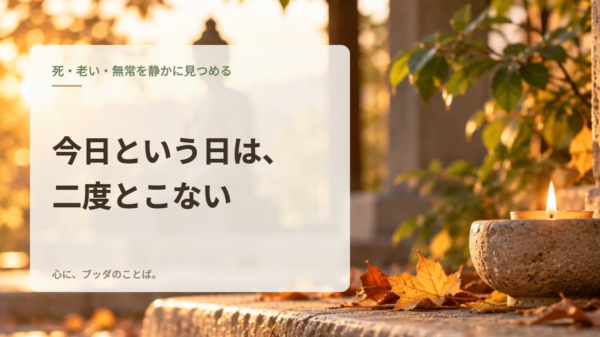 今日という日は、二度とこない