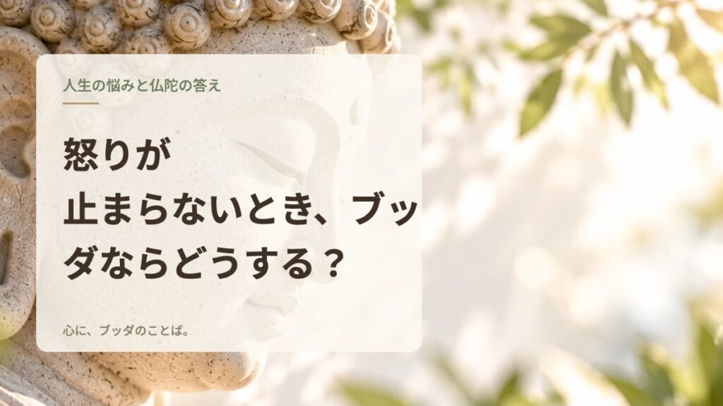 怒りが止まらないとき、ブッダならどうする？